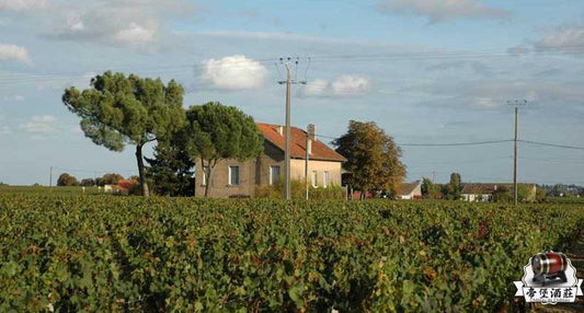 裡鵬紅酒 Le Pen紅酒回收 收購Le Pen Le Pen紅酒 香港收酒 香港收購Le Pen紅酒