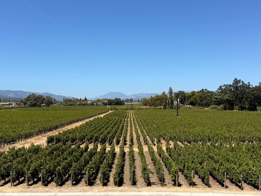 Opus One — bottle and market-record review