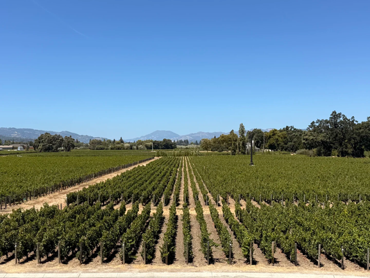 作品一號（Opus One）葡萄園