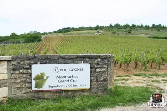 蒙哈榭特級莊園 