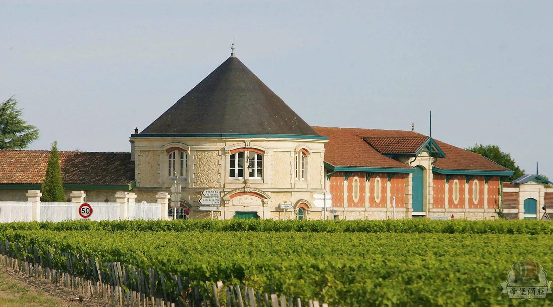 Château Mouton Rothschild Label — label, capsule and bottle-detail checks